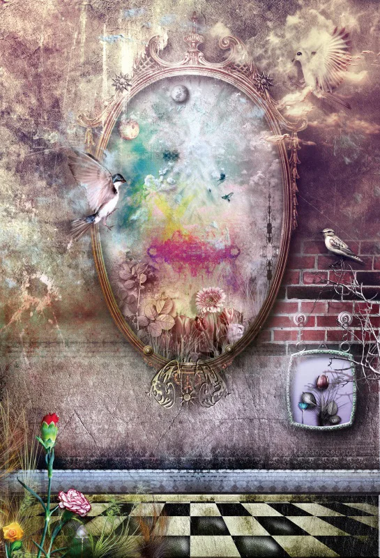 Laeacco Fairy Tale Mirror Birds Brick Wall Photography Backgrounds Customized Photographic Backdrops For Photo Studio | Электроника