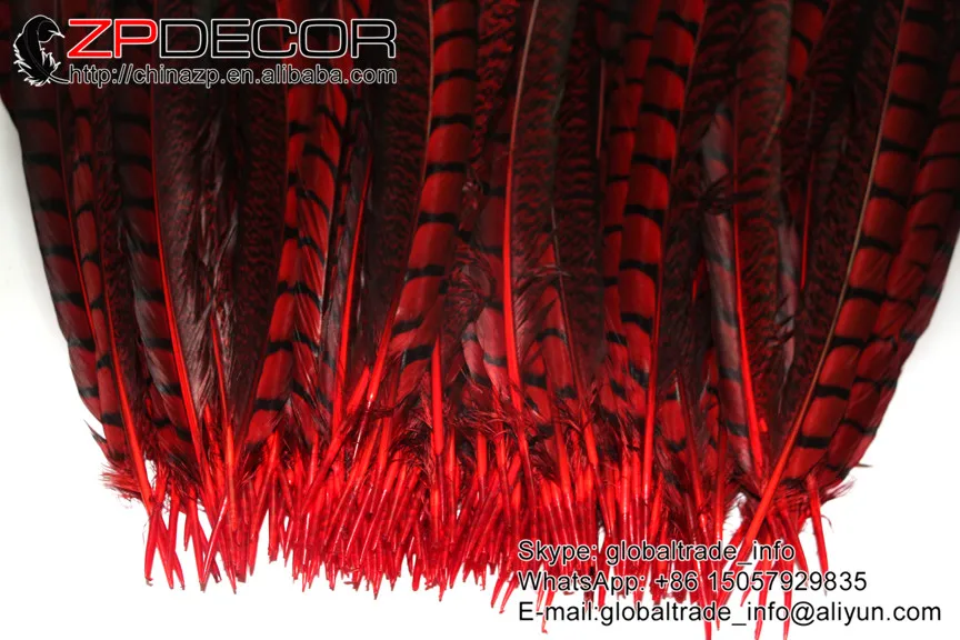

Leading Supplier ZPDECOR 10-12inch(25-30cm) 50pieces/lot Sexy Red Dyed Lady Amherst Tail Feathers