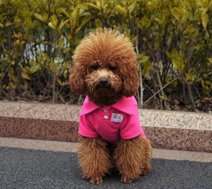 Hot sale Newest high quality polo shirt cute clothing goods for animal puppy dog 2014 summer free shipping | Дом и сад