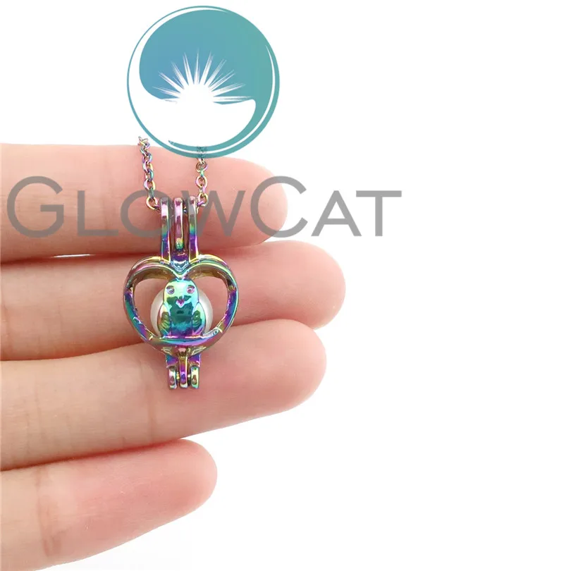 C397 Радужная цветная клетка в форме птичьего сердца диффузор эфирного масла