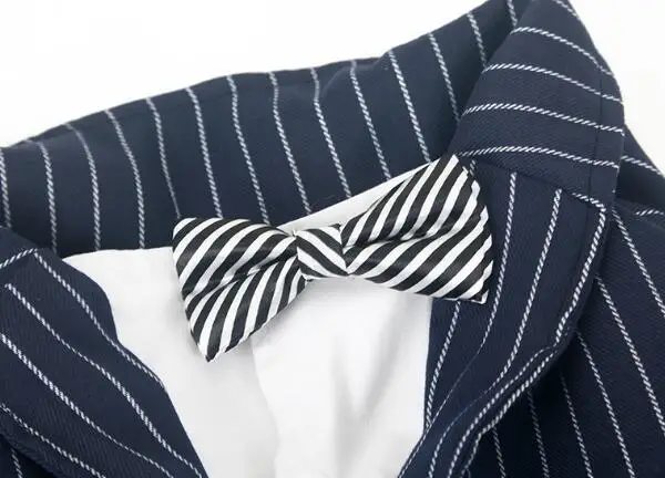 2016 новый дизайн модный костюм в полоску с бантом для большой собаки красивые