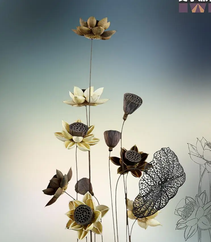 10 шт. 55 см мини сухой лотоса букеты сушеные Моделирование цветы Гостиная