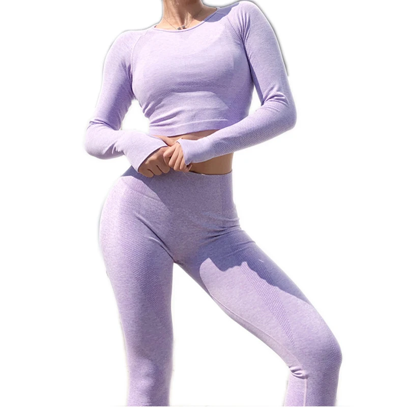 Purple Бесшовный комплект из 2 предметов, женский спортивный костюм, одежда для тренажерного зала и тренировок, укороченный Топ с длинным рукавом и резинка для волос, Леггинсы для йоги, комплект для йоги - Цвет: Purple