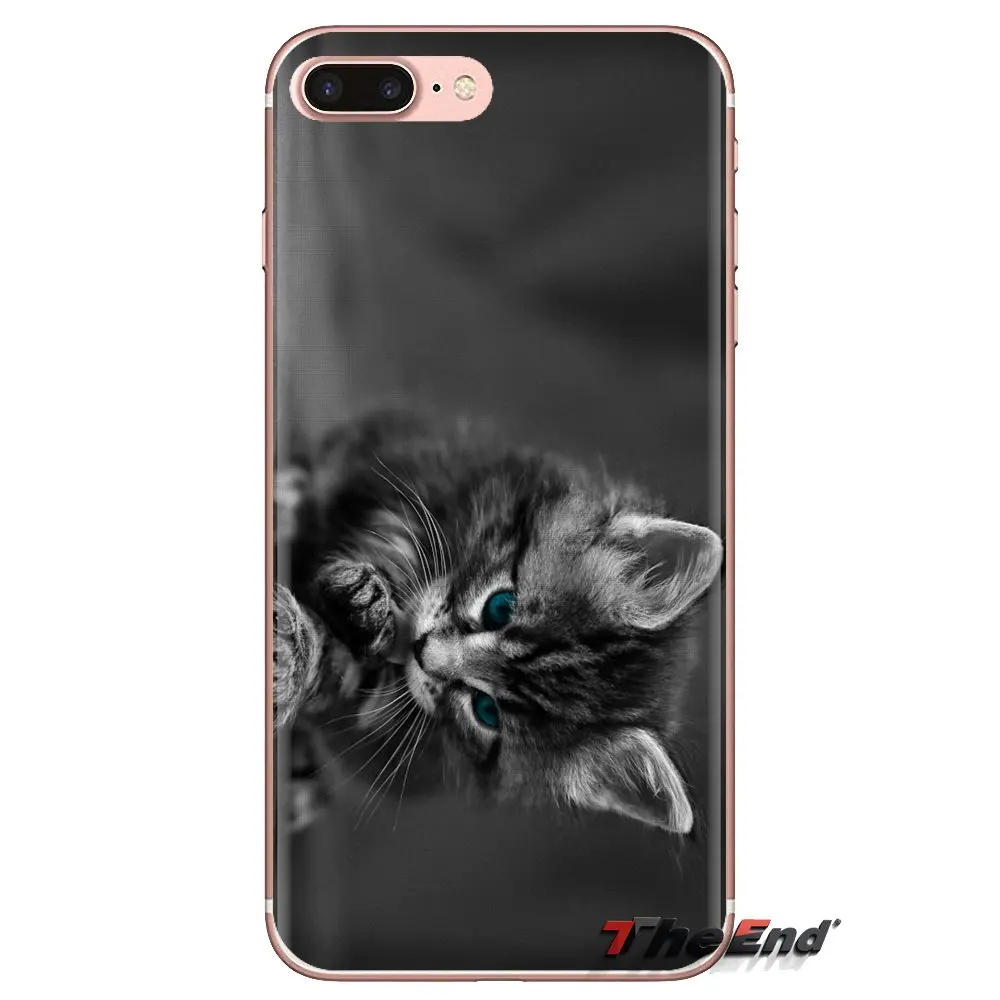 Пушистые обои с принтом кота прозрачные мягкие чехлы Чехлы для iPod Touch Apple iPhone 4 4S 5 5S