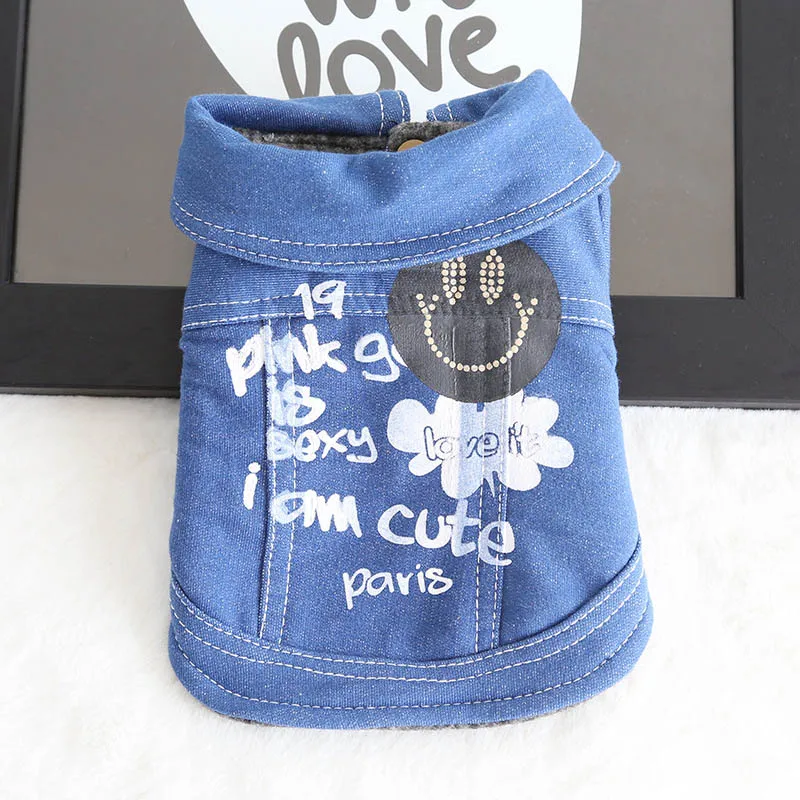 Буквы питомец маленькая собачка кошка джинсовый пиджак зимний собачий Щенячий