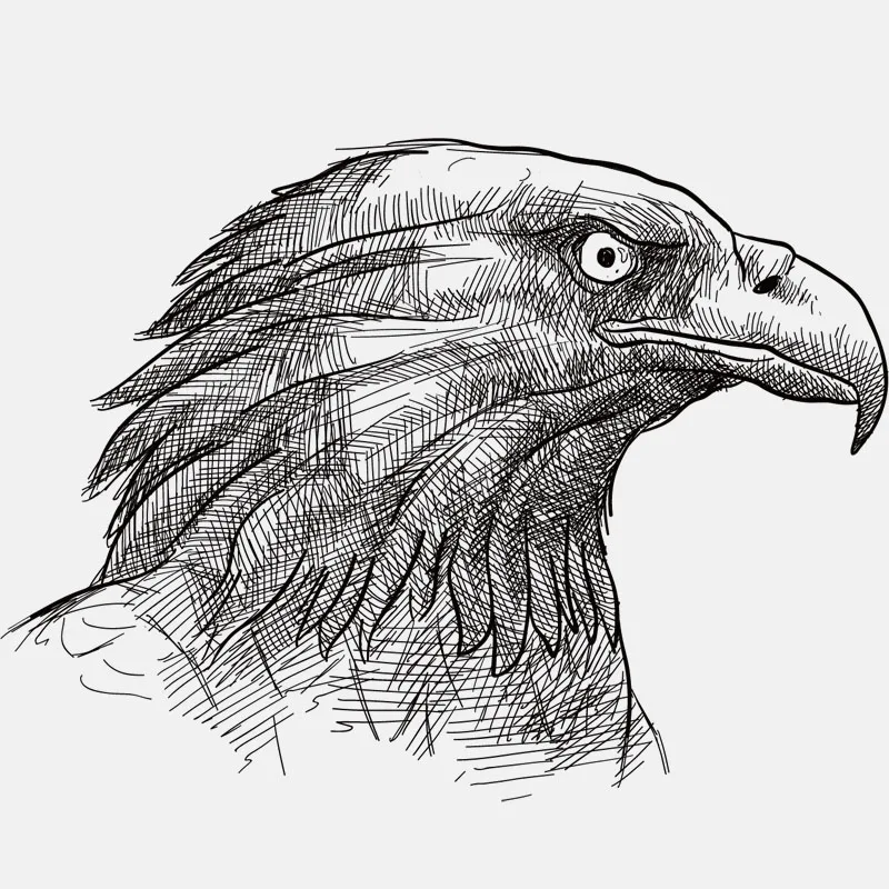 YJZT 14.5CM*10.8CM Stylish Hand Drawn Sharp-eyed Eagle PVC Motorcycle Car Sticker 11-01213