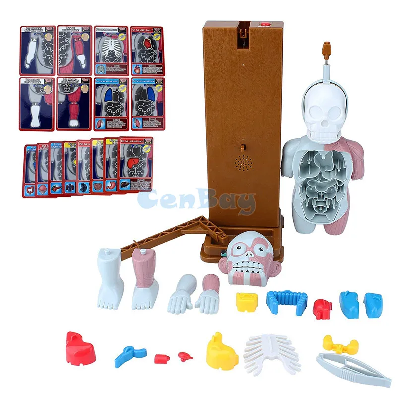 4D мастер человеческое тело модели для сборки 3D головоломка смешная семейная