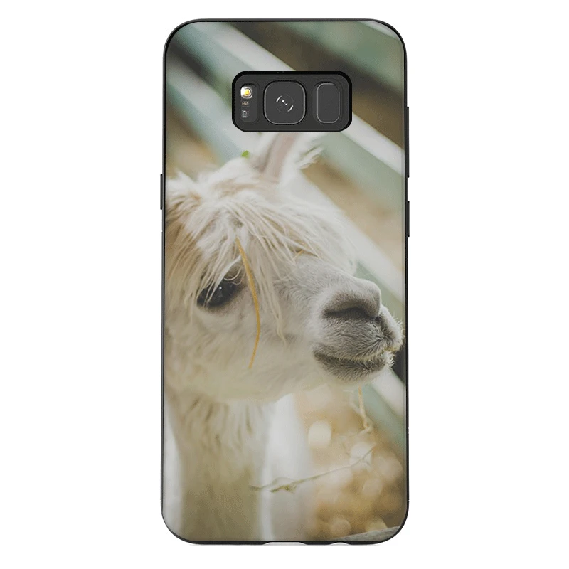 Чехол для телефона из мягкого ТПУ Samsung M10 M20 M30 M40 S6 S7 Edge S8 S9 S10 S10E Plus Note 8 9 10 милая