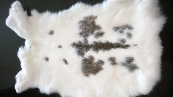 Шкура из натурального меха кролика разные цвета|rabbit skin|fur rabbit skinsrabbit fur skin |