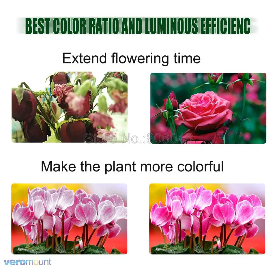 Cree CXB3590 LED Plant Grow Light 3000K 3500K 5000K 80 CRI 36V COB LED Array with Lens& Meanwell Driver DIY Module
