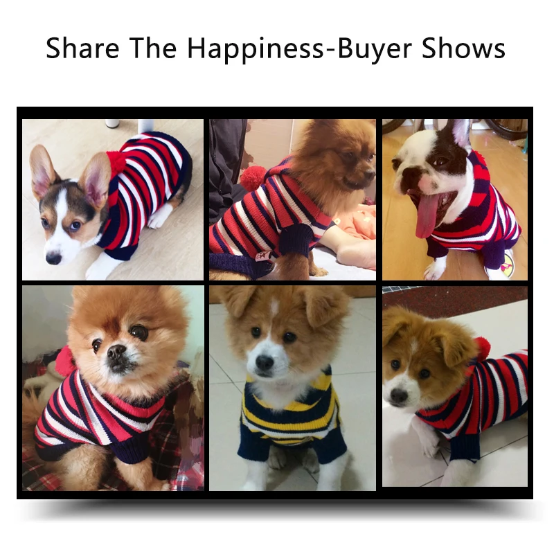 PETCIRCLE новая осенняя и зимняя одежда для маленьких больших собак полосатый свитер