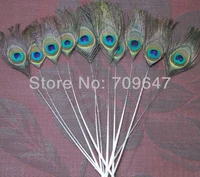 freeshipping 50pcslot 10 12 25 30cm single nature colour torn edge peacock tail feathers