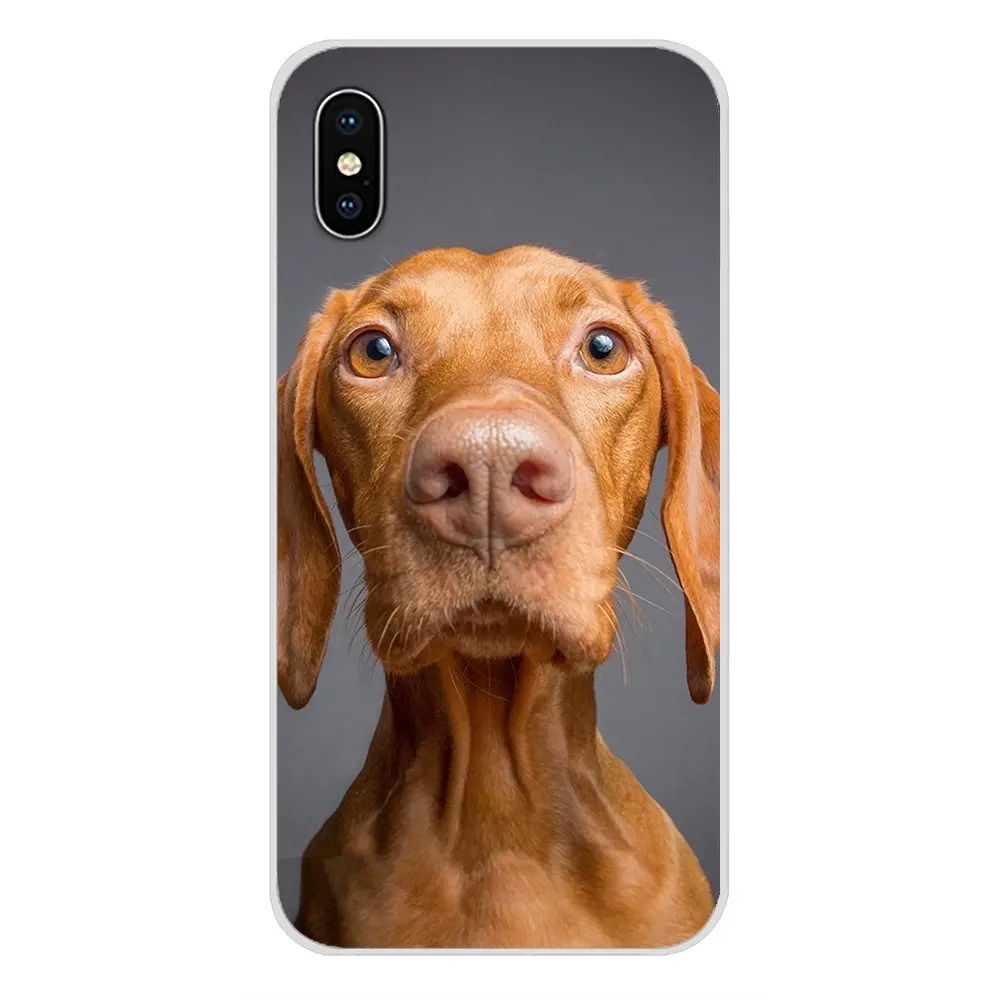 Accessories Phone Cases Covers For Xiaomi Mi4 Mi5 Mi5S Mi6 Mi A1 A2 5X 6X 8 9 Lite SE Pro Max Mix 2 3 2S Vizsla dog art | Мобильные