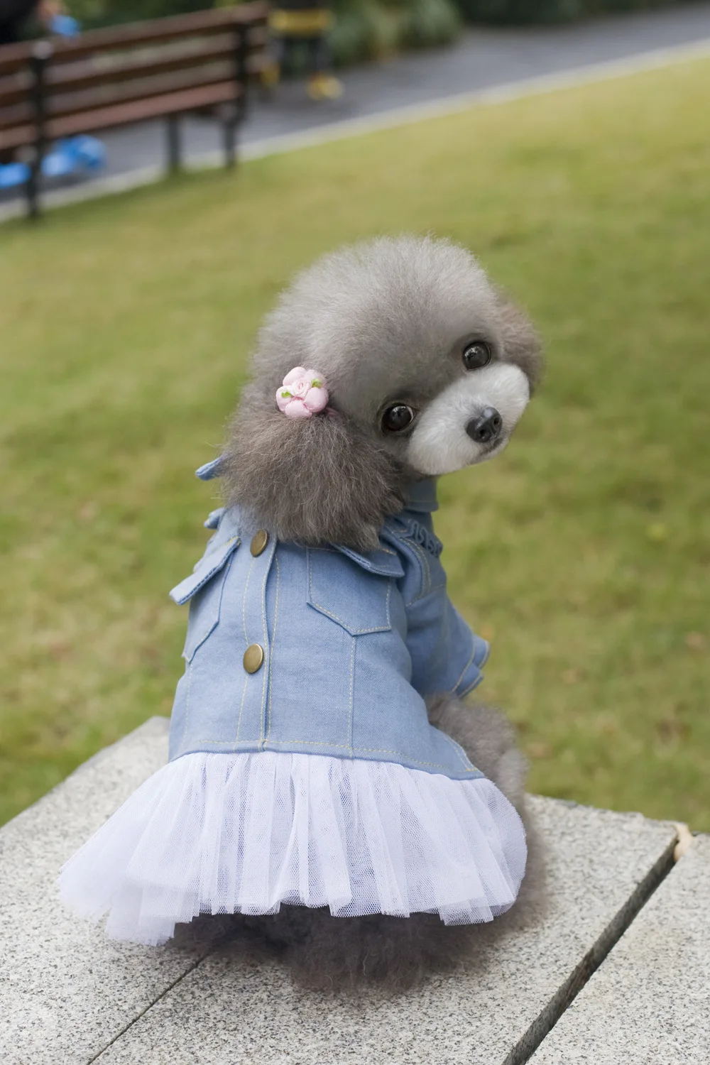 Пэт Круг Горячая Продажа Pet Products Собака Кошка Юбка одежда Девушки Джинсовая Шифон