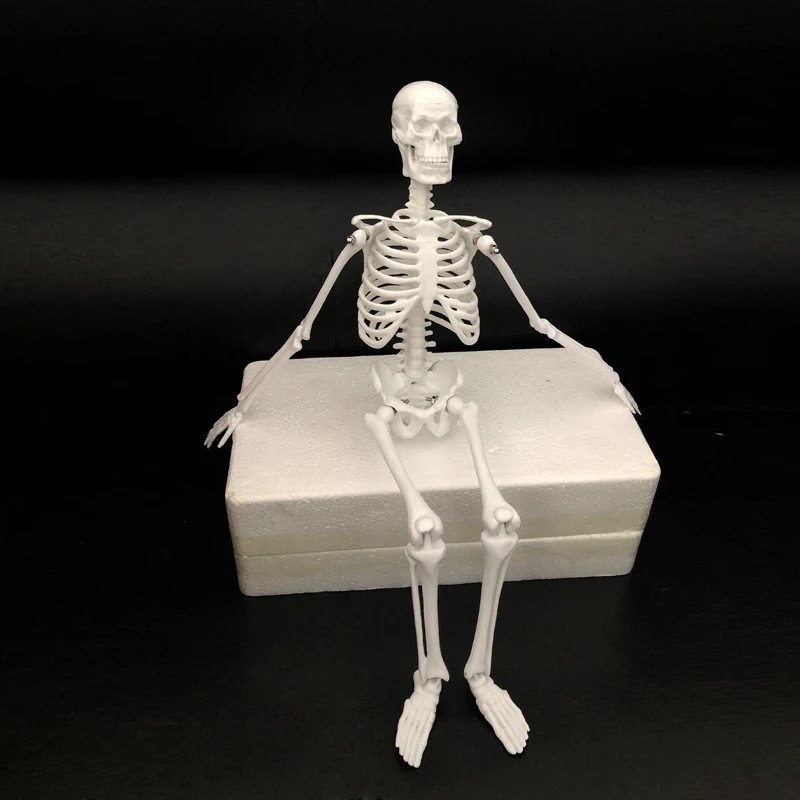 Модель скелета человеческого тела из ПВХ 45 см мини манекен модель OTC Bone