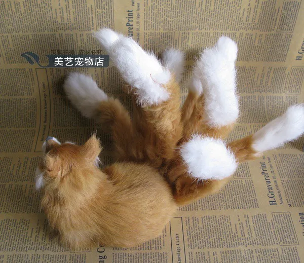 Моделирование животных посвященный фэн шуй Отображения Окна Реквизит Red Fox