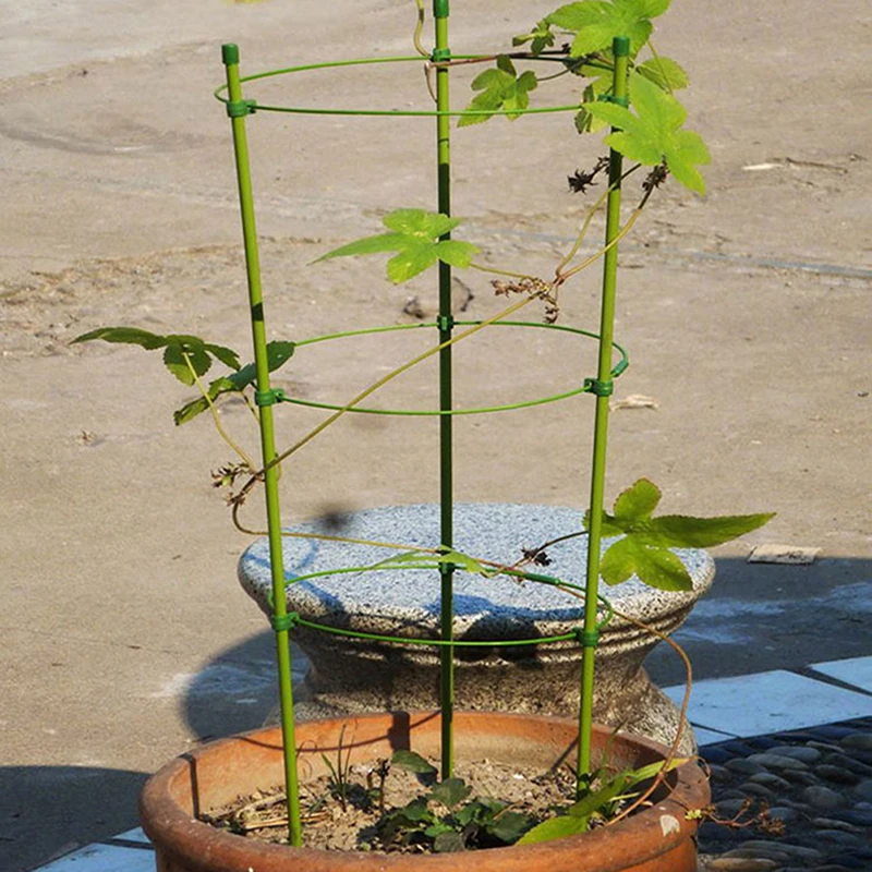 Durable Creative Vine Climbing Rack Flower Decorative Gardening Tools Vegetables Plant Trellis Support Frame 60cm | Дом и сад