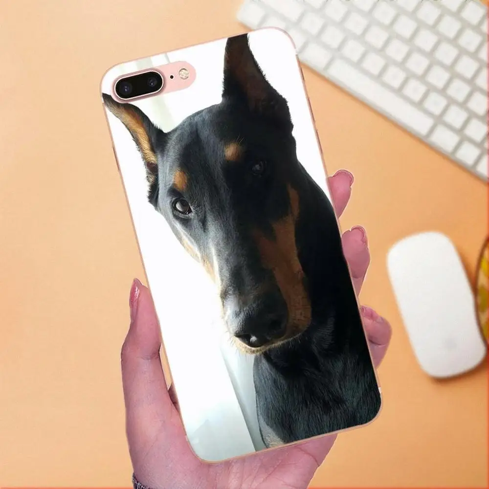 Итальянские собаки трость Корсо мастиф для LG Nexus 5 5X G2 G3 mini spirit G4 G5 G6 K4 K7 K8 K10 2017 V10 V20