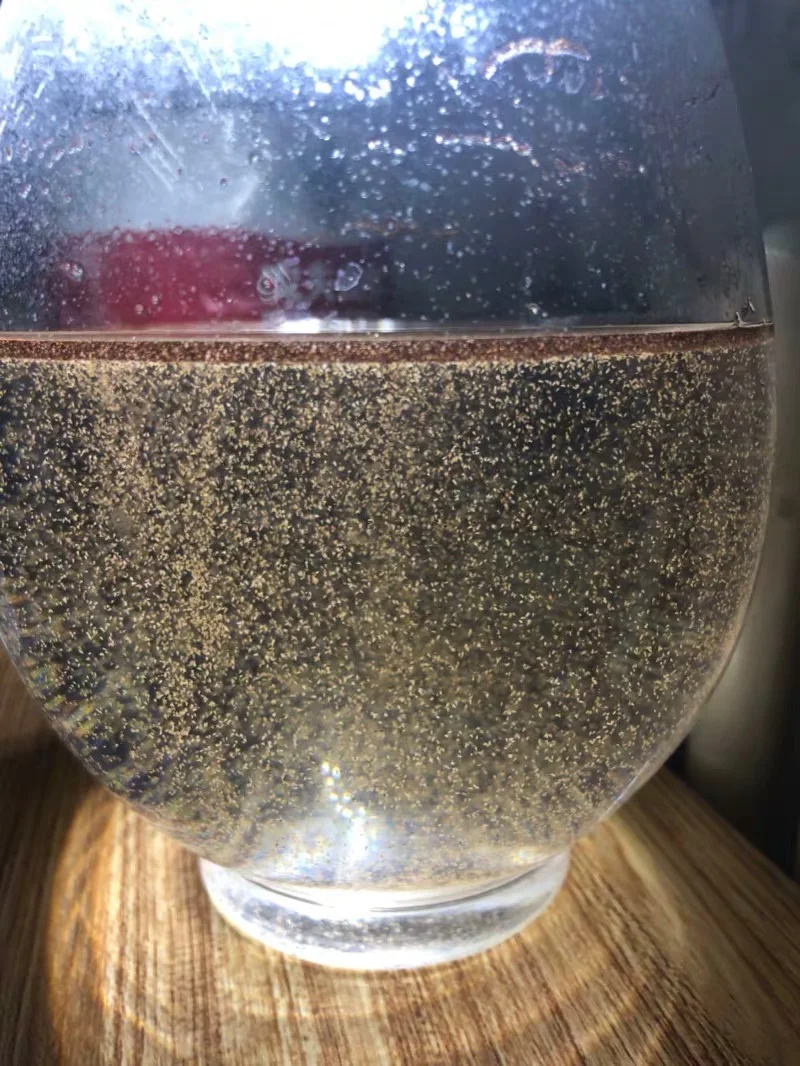 100G/LOT L 15mm Sea Monkeys Monkey Eggs Fairy Brine Shrimp Living Animals Artemia Salina Crayfish Prawns Science Baby Toys Funny