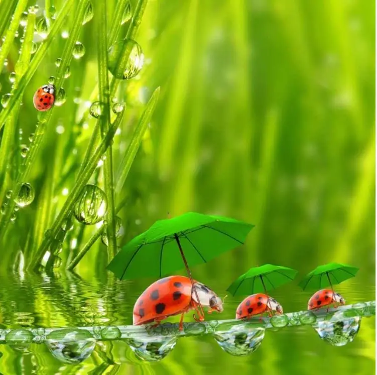 5D Сделай Сам полный квадрат Алмазная картина вышивка крестиком маленькие