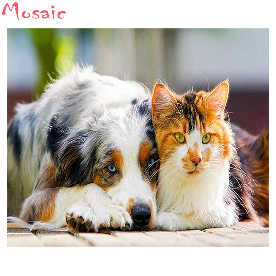 Алмазов картина вышивки крестом собака кошка полный квадратный алмаз вышивка