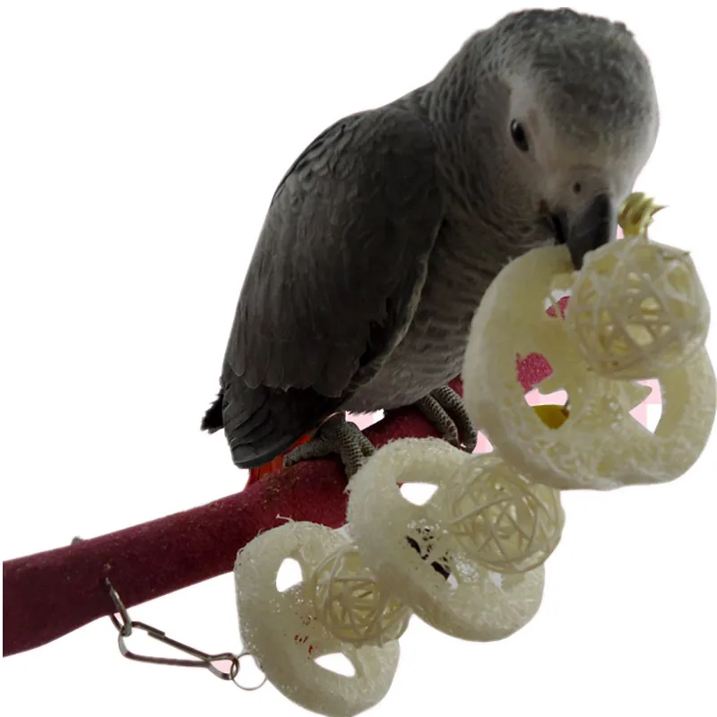 Красочный Попугай Loofah Sepak Takraw попугай для домашних животных стеллаж укусов и