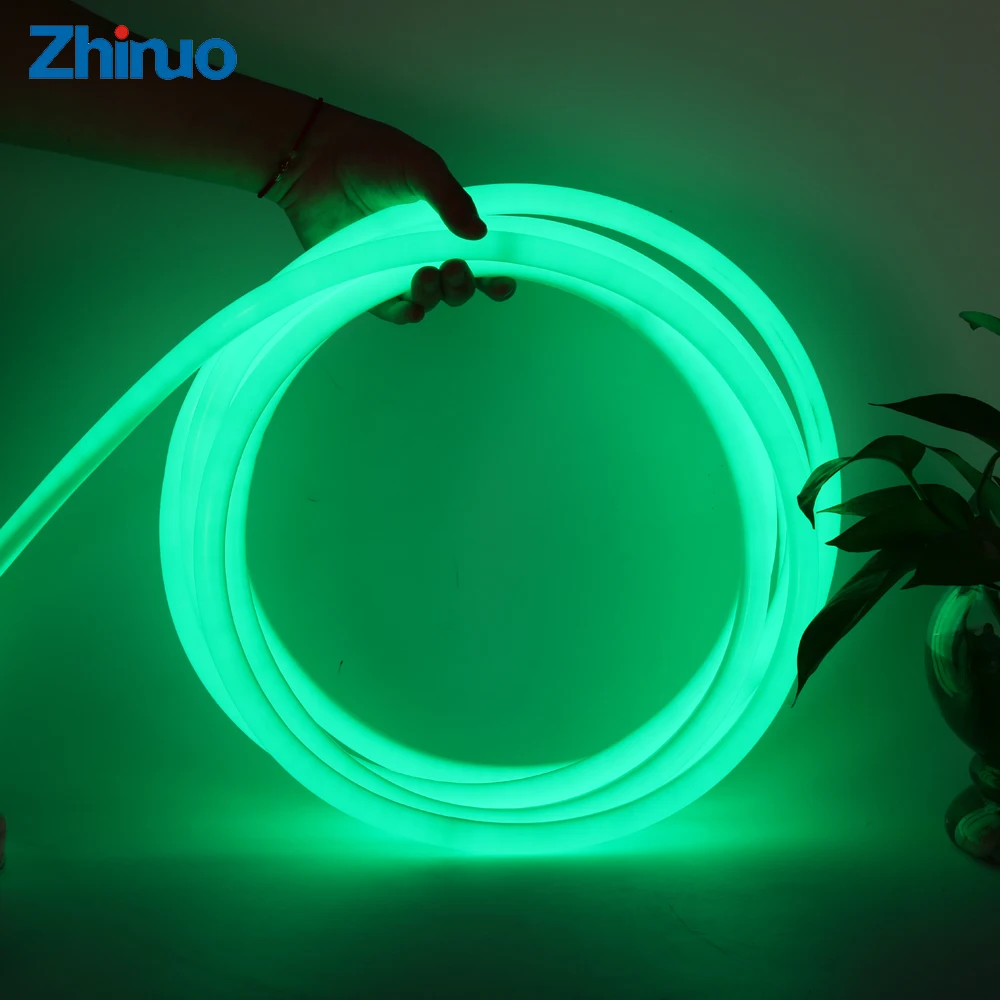 12 V неоновый свет Светодиодные ленты с подходящего трансформатора + Мощность