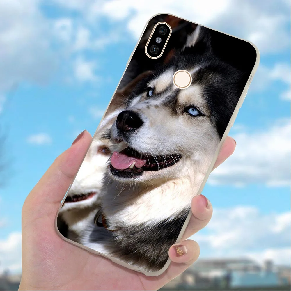 Мягкий чехол из ТПУ для телефона Redmi 7 Pro Husky собак 4X A2 A1 9se 4A 5 Plus 5A Prime 6A Note Xiaomi Mi 9 10 Lite
