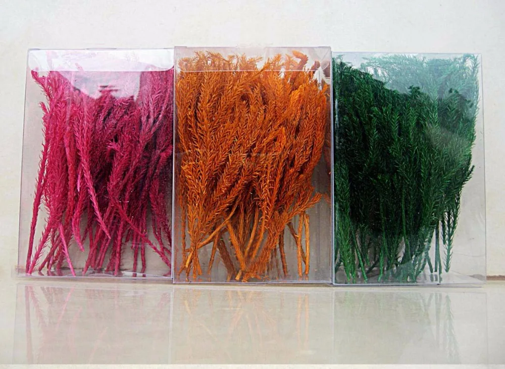 

50g Diaphasiastrum Veitchii Dried Preserved Flower For Wedding Party Home Hotel Decoration DIY Bouquet Project Accessory