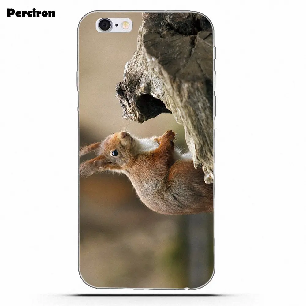 as picture Perciron Squirrel Soft TPU Print Cover Case For Xiaomi Redmi Note 2 3 3S 4 4A 4X 5 5A 6 6A Pro Plus - Цвет: as picture