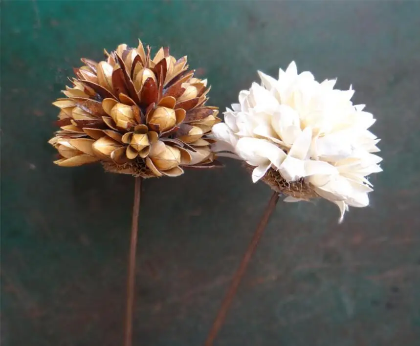 5 шт. натуральный сушеный белый/коричневый цветок магнолии с железной проволокой