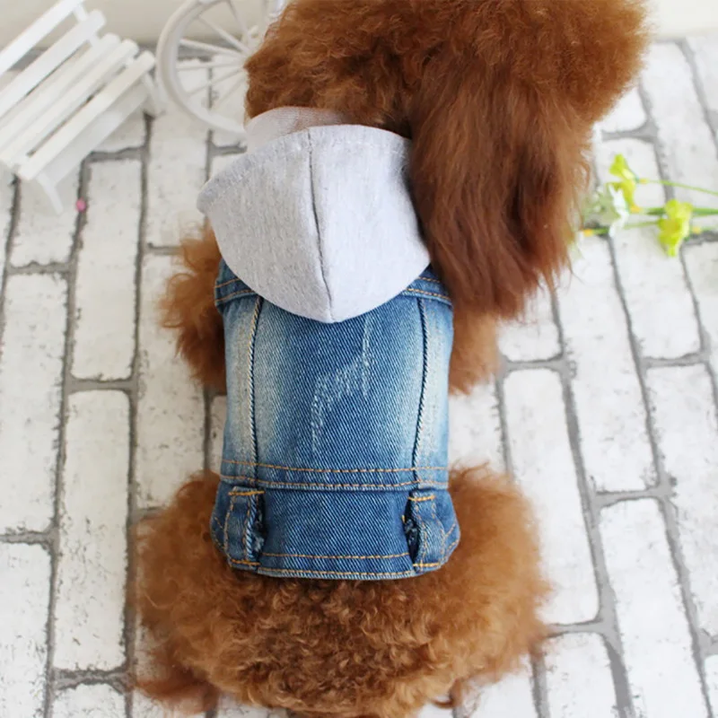 Dozzlor Pet джинсовый жилет 2018 XS XXL вязаный свитер с капюшоном одежда принтом в виде