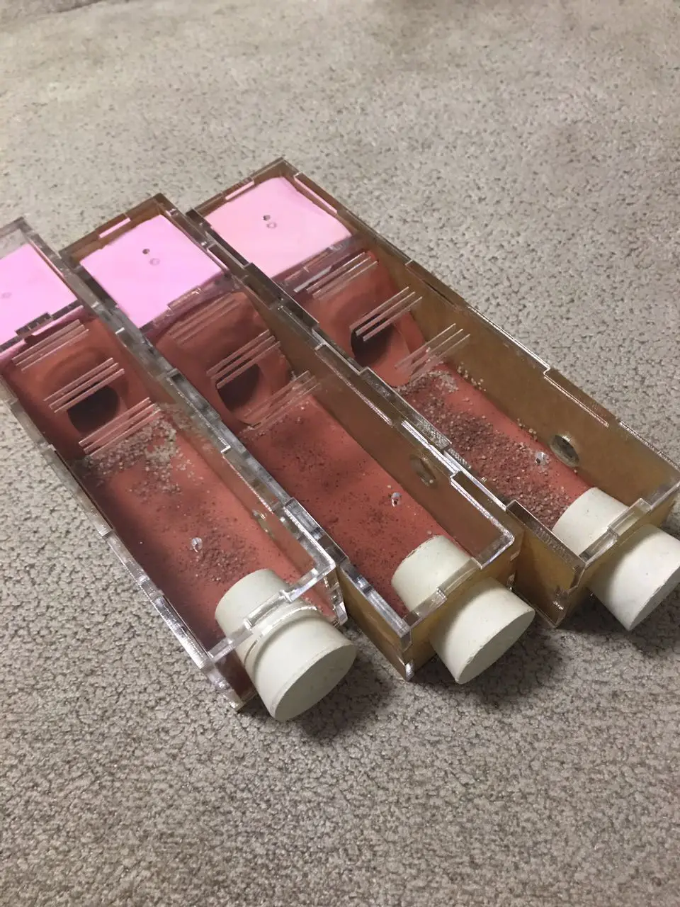 1 шт. Муравьиное гнездо новое заднее акустическое жилище|Товары для насекомых| |