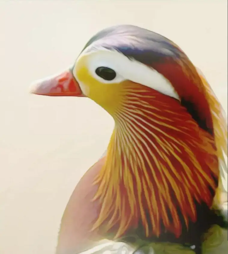 3d photo wallpaper custom mural Pond lotus leaf mandarin duck background wall home decor murals for walls 3 d | Обустройство дома