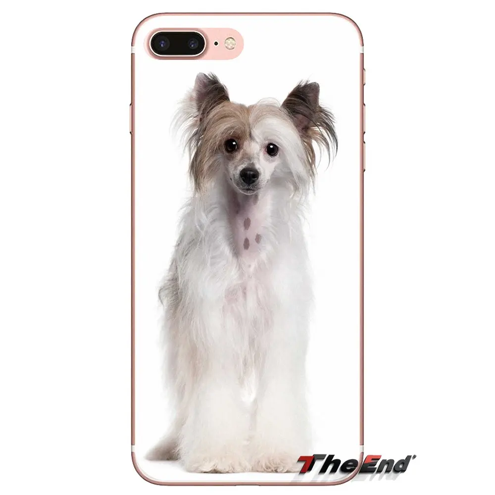Silicone Shell Covers For Huawei Nova 2 3 2i 3i Y6 Y7 Y9 Prime Pro GR3 GR5 2017 2018 2019 Y5II Y6II Dog of breed Chinese crested |