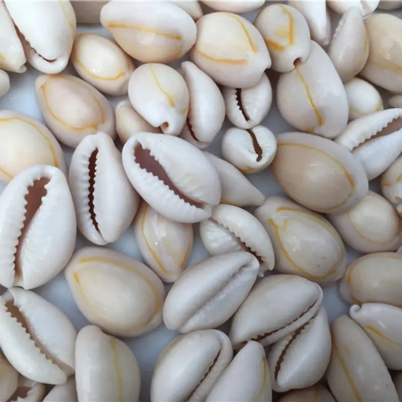 50 шт маленький пляжный морской натуральный Ракушечный бисер ракушка свободные