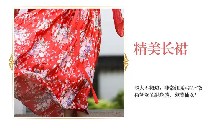 New Chinese Ancient Clothing Hanfu Skirt Hanfu Women's Skirt Costume Hanfu Double-breasted Dress