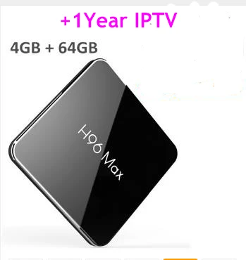 4G 64G 1Year iptv Новое поступление H96 MAX X2 Android 8,1 4KH. 265 Смарт ТВ коробка с homelive индийские Пакистан ip ТВ подписка поддержка 4 k hd - Цвет: 4G 64G 1Year iptv