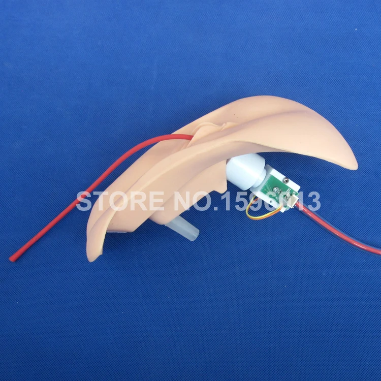 Электронный катетерический тренировочный симулятор сменная модель