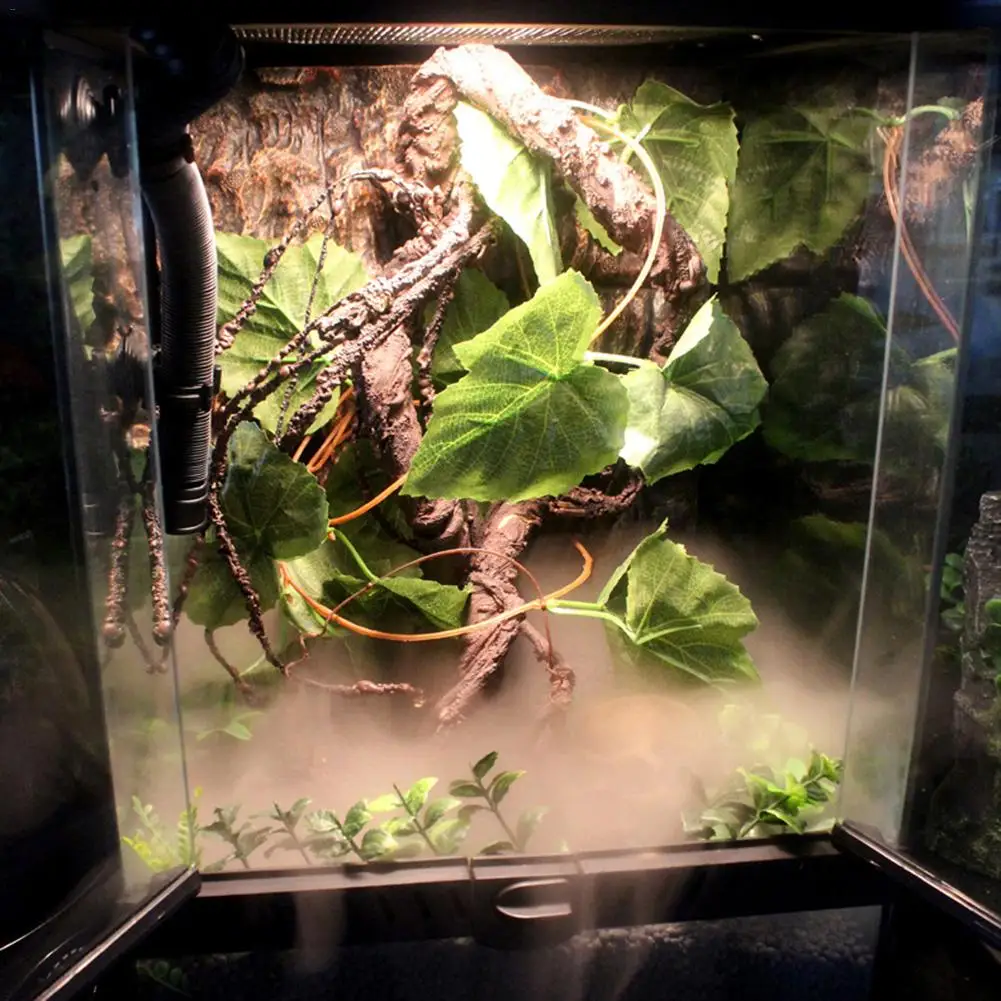 

Pet Humidifier Reptile And Amphibians Humidifier Mute Adjustable For Rainforest Landscaping Reptile Terrarium Reptile Fogger