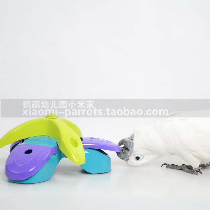 Веселая коробка с попугаем для поджигания щенка собаки питание дозирование