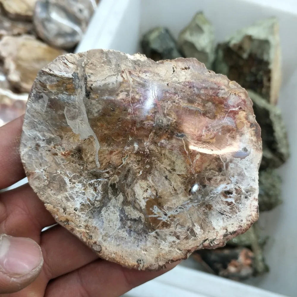 90 100 г натуральная полированная древесина ископаемая плита шероховатый камень