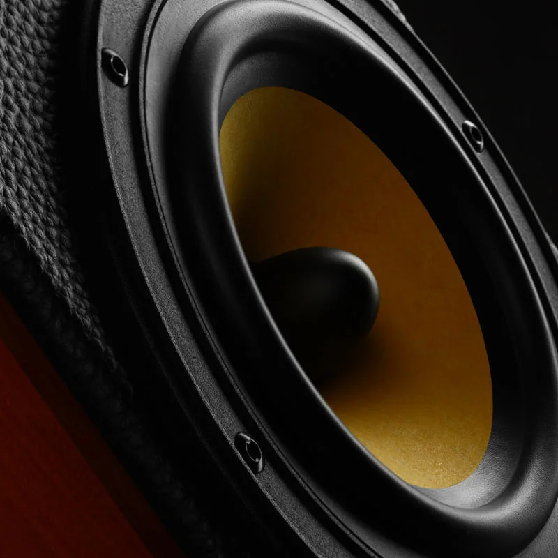 HIVI Лебеди Hi Fi стерео M1 классический пассивный динамики мониторы 2 полосная 4th order