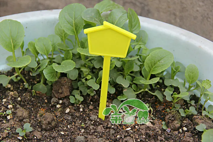 High Quality 100 pcs / pack. Flower Gardening Tag Fleshy Plug Brand T Type Waterproof Label Inserted Card WX1058