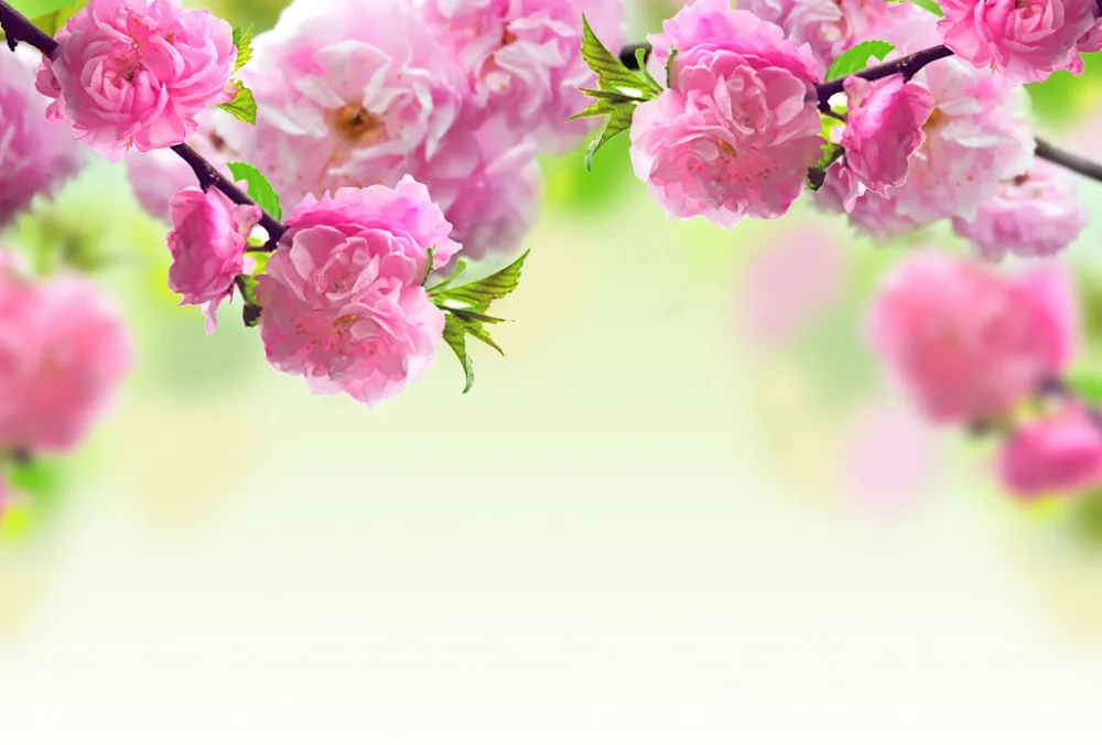 Европейская мода 3D оконные шторы розовые цветы затемненные занавески для