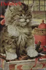 Набор для вышивки крестиком с изображением животных и кота, 14 карат