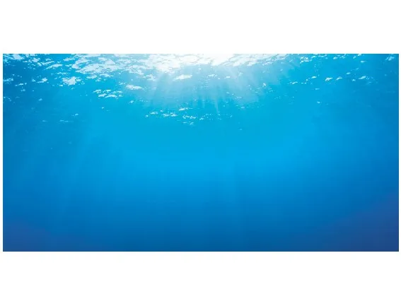 Juwel двухстороннее украшение для аквариума река рок море зеленый постер аквариум