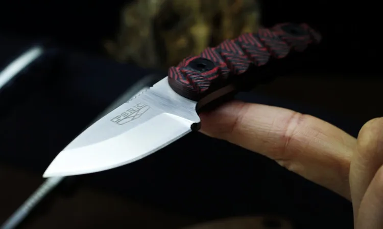 2017 Top Quality New Toothpick Fish Knife 440C 59HRC Steel Camping Survival Outdoor Tools Small Straight EDC Tool | Инструменты