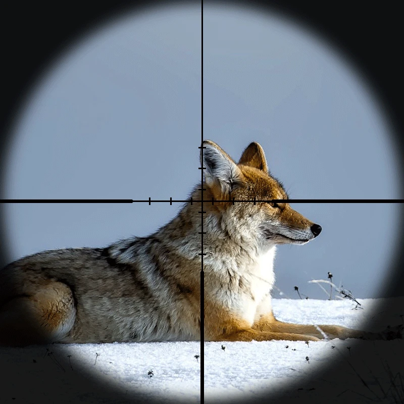 Диана 4 5 18X50 AOE тактический зеленый Red Dot Крест оптический прицел охотничий