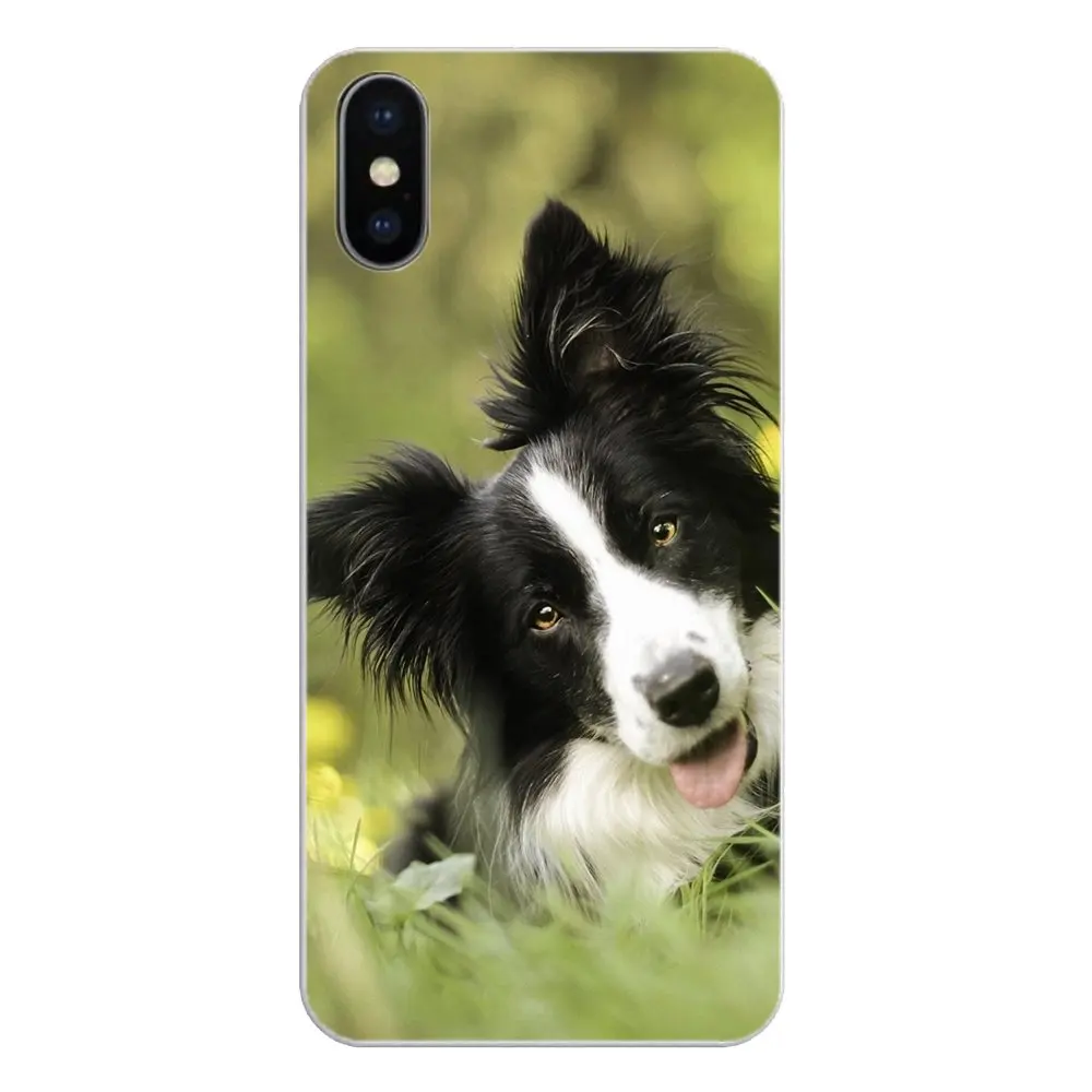 Border Collie Dog Silicone Phone Shell Cover For Huawei Honor 5A LYO-L21 Y6 II Compact Y5 2 Y5II Mate 10 Lite Nova 2i 9i |